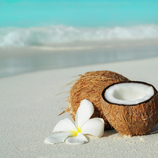 Coconut & Vanilla Dead Sea Bath Salt – Hydrate, Soothe & Indulge (14oz)